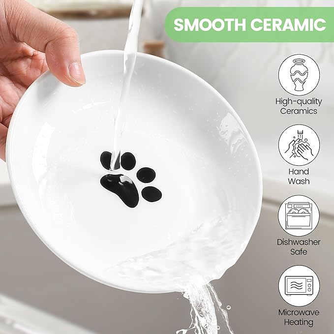 Ceramic Elevated Cat Bowls - Whisker Friendly, Anti-Vomiting Cat Food Plate, Stylish, Safe and Hygienic (Fishboon, 1 Pack)