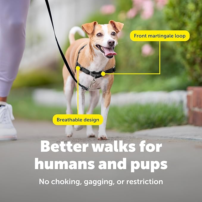 PetSafe Easy Walk Harness for Dogs - Pull-Free Walks - Patented Martingale Loop Design - Front Chest Leash Attachment - Comfort Straps - Breathable Harness Design - Petite/Small, Black/Silver