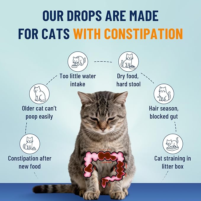 VICSOM Cat Constipation Relief for Cats, Natural Liquid Constipation Drops for Cats Soften Stool, Promotes Digestive Health, Cat Herbal Supplements, Chicken Flavor, 60 Ml/2 Fl Oz