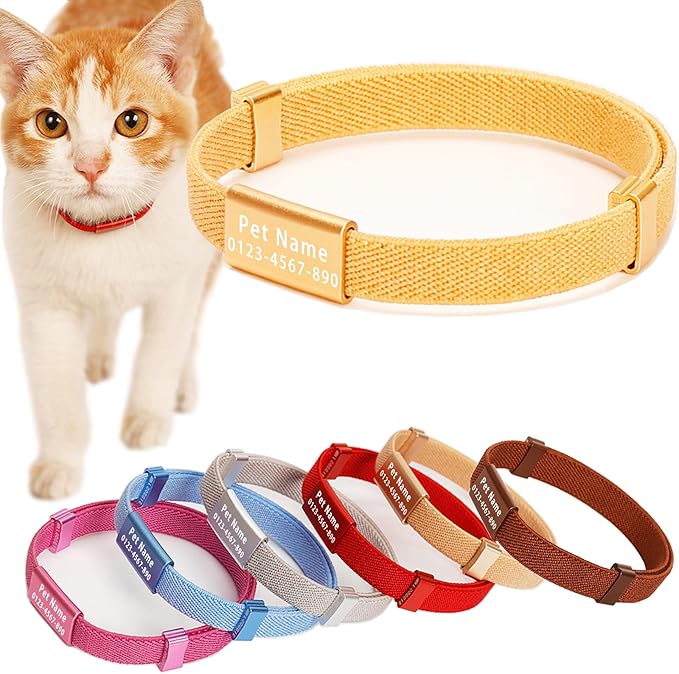 Minimalist Stretch Lightweight Custom Engraved Cat Collar with Name Tag Personalized Cat Collars for Kitten Boy & Girl Cats (Champagne Gold, Collar with Nameplate)