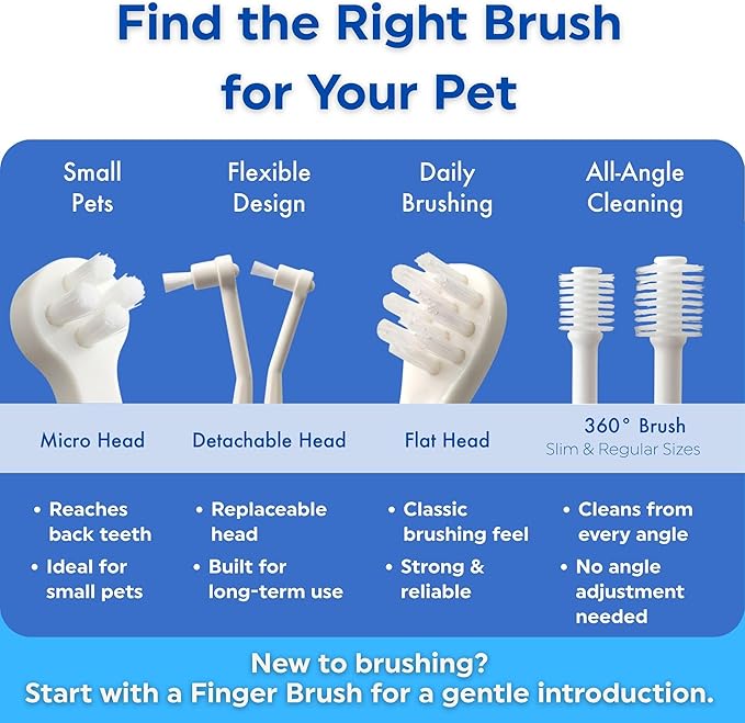 MIND UP Cat Toothbrush with Micro Head, 15° Angled Design for Easier Reach, Pet Toothbrush for Cats & Kittens, Gentle Everyday Brushing, Made in Japan, 3EA