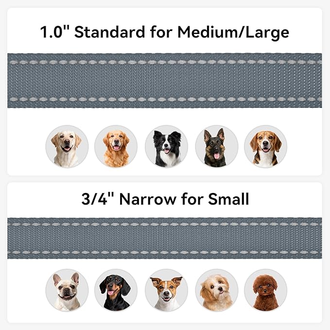 Joytale Dog Leash, 5 FT Double-Sided Reflective, Padded Handle Nylon Heavy Duty Leashes for Small Dogs Walking, Grey