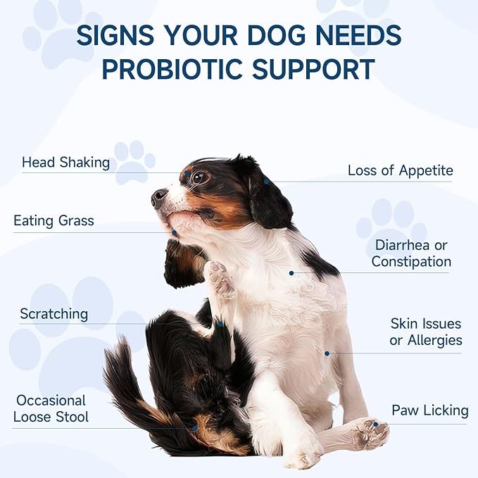 Cat Allergy Relief Chews & Dog Probiotic Bundle, 500 Crunchy & Creamy Anti-Itch Chews for Cats + 200 Soft Probiotic Treats for Dogs | Supports Itchy Skin, Immunity & Digestive Health, Chicken Flavor