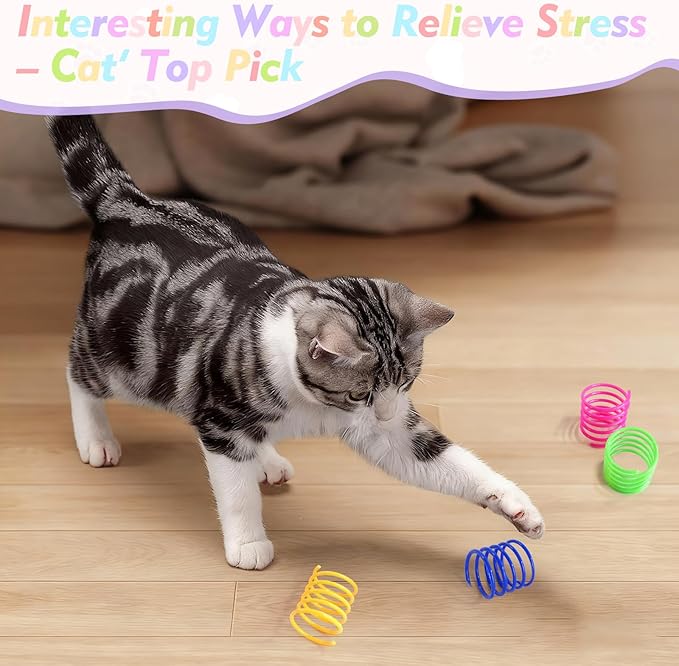 WRW 40 Pack Cat Springs Toy, Plastic Coil Spiral Springs for Indoor Cats, Interactive Cat Spring for Kittens Swatting, Biting, Hunting Kitten Toys（4 Colors）