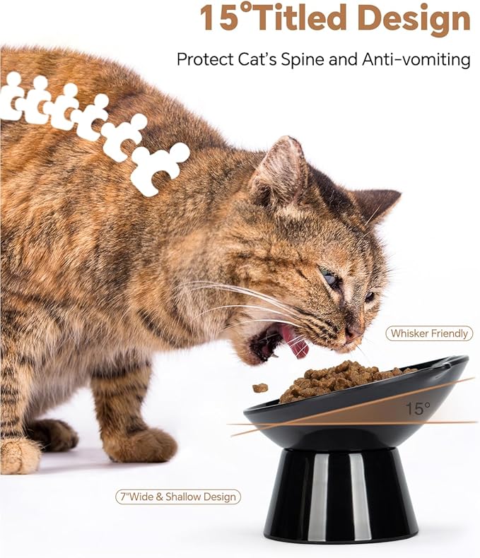 Detachable Slow Feeder Cat Bowl- Elevated Cats Feeder Tilted, 7 Inch Large Extra Wide Raised Cat Food Bowl Whisker Friendly, for Indoor Cats and Small Dogs Anti-Vomiting Black