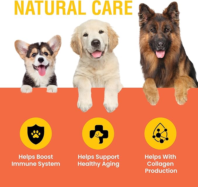Vitamin C for Dogs, Helps Support Immune System, Vitamin C Liquid Supplement, Dog Immune Booster, Bacon Flavored, 8oz
