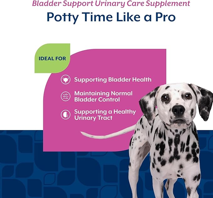 NaturVet Bladder Support Plus Cranberry for Dogs, 60 ct Soft Chews, Made in The USA with Globally Source Ingredients