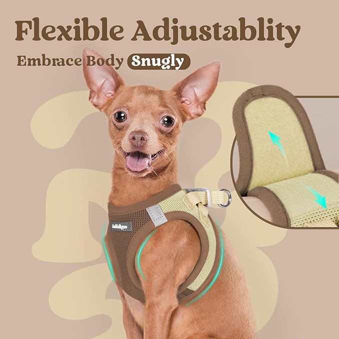 rabbitgoo Small Dog Harness, Step-in Soft Mesh Puppy Vest with Safety Buckle, Breathable Reflective Pet Harness for Small Sized Dogs, Brown & Beige M