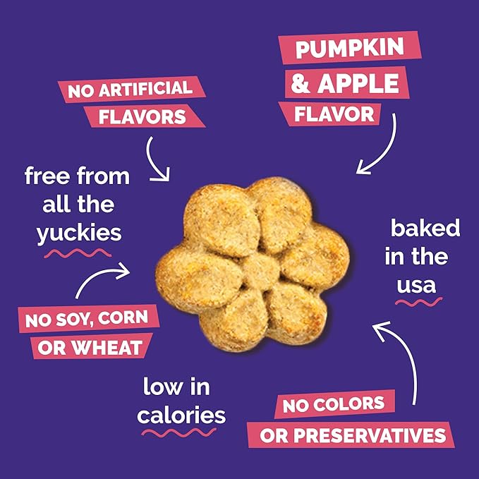 Fruitables Baked Dog Treats, Healthy Pumpkin Treat for Dogs, Low Calorie & Delicious, Pet Essential, Made with No Wheat, Corn & Soy, Made in the USA, Allergy Friendly, Pumpkin and Apple Flavor, 20 oz