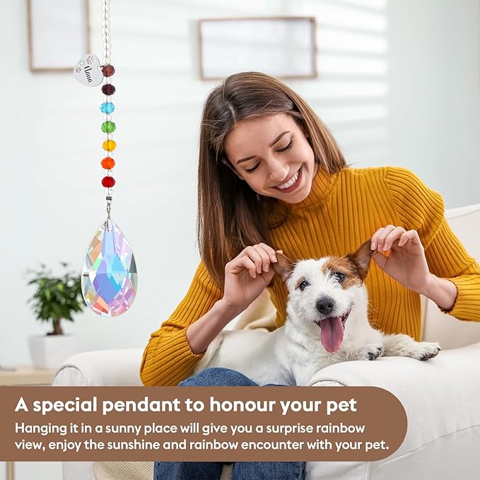 free-space Rainbow Bridge Pets Personalized Crystal Light Catcher Cat/Dog Keepsake Pet Loss Sympathy Gift (Water Drop 1)
