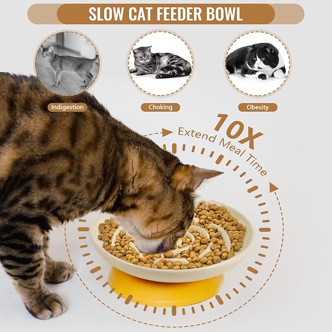Slow Feeder Cat Bowl Set of 2, Ceramic Slow Feeding Cats Bowl Whisker Friendly, Anti Vomiting Cat Feeder for Dry and Wet Food，Fun Maze Interactive Bloat Stop Puzzle Bowls for Healthy Eating Diet