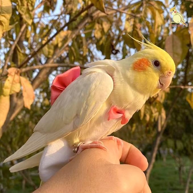 Bird Diaper Harness Flight Suit Clothes with Flying Leash for Parrots Cockatiel Pet Birds, Parrot Clothes, Bird Training Nappy Suit Liners Clothes (S, Silver)
