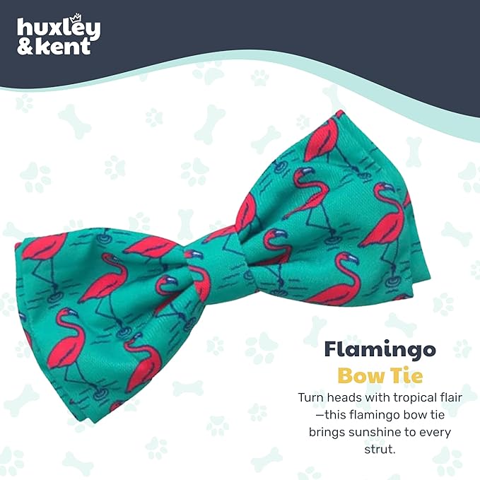 Huxley & Kent Pet Bow Tie for Dogs & Cats - Adjustable Hook & Loop Collar Accessory - Cute & Comfortable for Holidays & Celebrations - Flamingo, Small