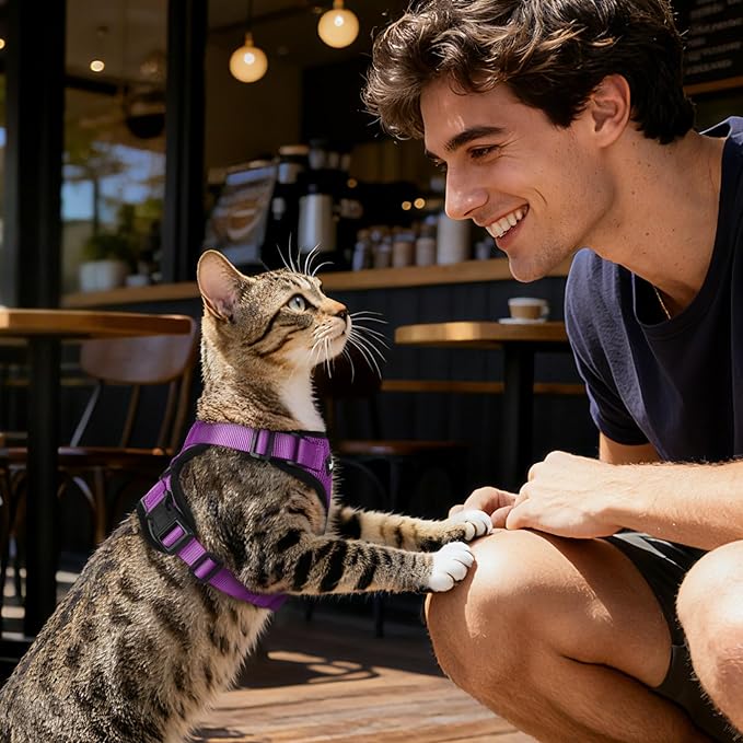Dooradar Cat Harness and Leash Set, Escape Proof Safe Adjustable Kitten Vest Harnesses for Walking, Easy Control Soft Breathable Mesh Jacket with Reflective Strips for Cats, Purple, XXS