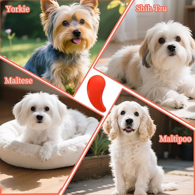 Comma-Shaped Small Dog Brush, Fit for Yorkie, Shih Tzu, Maltese Maltipoo Pomeranian - Gentle Soft Bristles for Effortless Pet Hair Removal, Puppy Essentials (Orange)