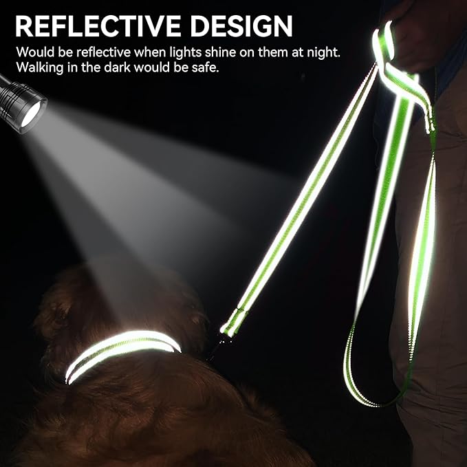 Joytale Dog Leash, 6 FT Double-Sided Reflective, Padded Handle Nylon Heavy Duty Leashes for Small Dogs Walking, Green
