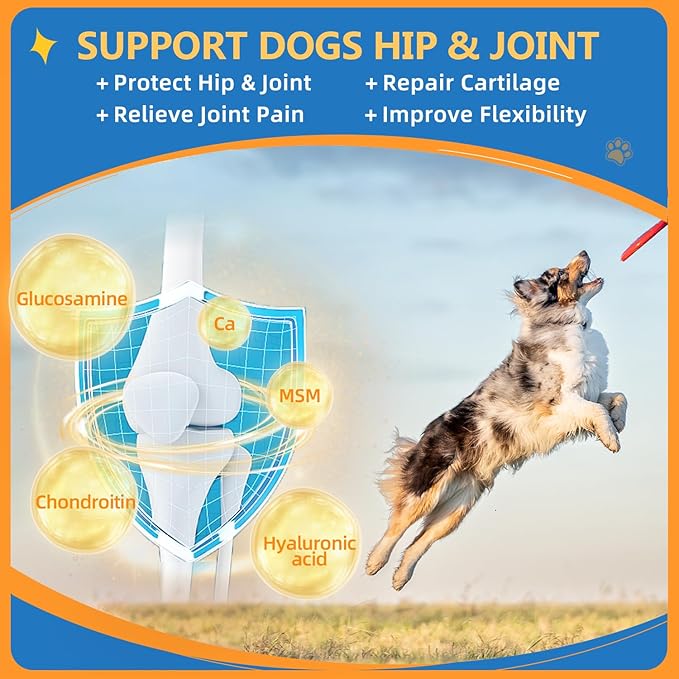 ZEBORA Dog Multivitamin Powder with Glucosamine, Dog Vitamins and Supplements for Immune Support, Skin and Coat Supplement with Omega 3 for Allergy Relief, Probiotics for Digestive & Gut Health