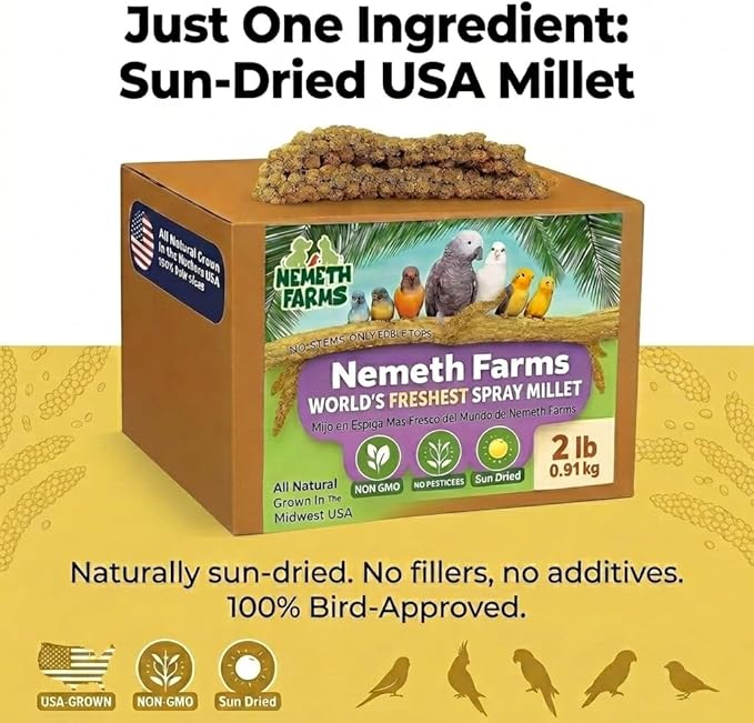 USA Grown Spray Millet for Birds – Midwest Harvest, 2 lbs Premium 100% Natural, Sun-Dried Non-GMO Whole Millet Sprays, Bird Treat for Parakeets, Budgies, Cockatiels, Conures, Lovebirds & Finches