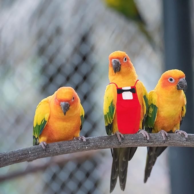 Milisten Parrot Diaper Clothing Breathable Bird Diaper Crimson Size M Flight Suit Pet Bird Supplies Creative Urine Protector for Small to Medium Parrots
