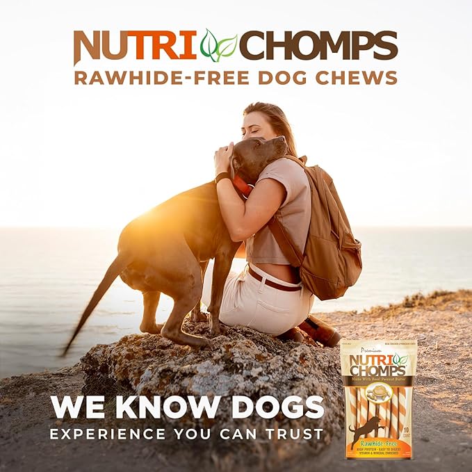NutriChomps Dog Chews 5-inch Twists, Easy to Digest, Rawhide-Free Dog Treats, 10 Count, Real Peanut Butter Flavor, Bundle of 2, 20 Count, NT063V-2