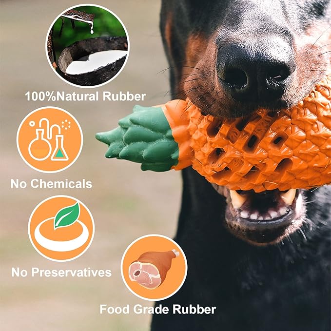Dog Toys for Aggressive chewers