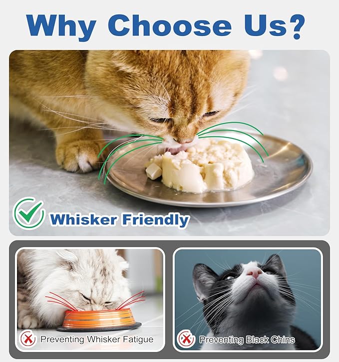 Supet Whisker Frinendly Cat Plates for Wet and Dry Food, Cat Bowls with Non-Slip Bottom, 304 Stainless Steel Flat Wide Shallow Dishes for Indoor Kitten (8Pcs)