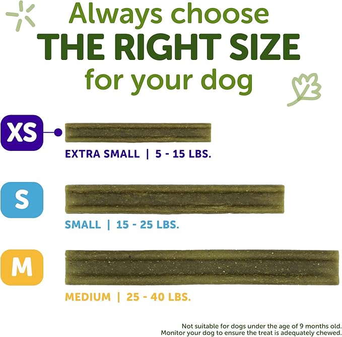 Wellness WHIMZEES Freshzees Dog Dental Treat, Soft Chews, Freshens Breath, Extra-Small Size, 14.81 oz Bag, 56 Count