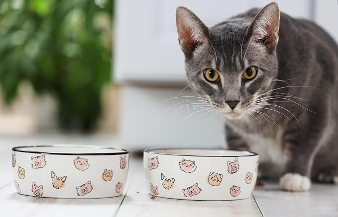 Pearhead Ceramic Cat Bowl, Holds 12 oz, Whisker-Friendly Pet Dish for Food and Water, Cute Cat Face Design