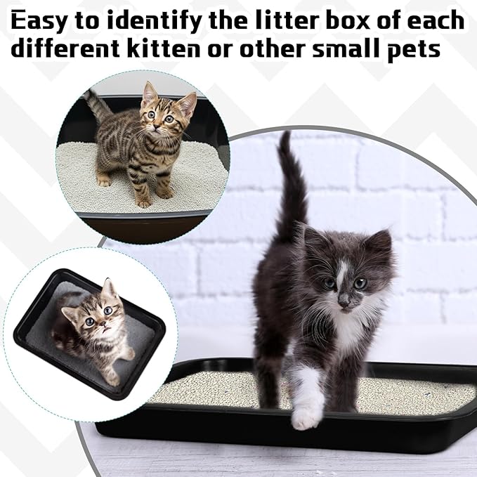 Tessco for you 3 Pcs Kitten Litter Box Shallow Low Entry Open Cat Litter Box Waterproof Plastic Small Rabbit Pan Tray Travel Toilet for Senior Cat Kitten Training(Black,15.1 x 12 x 1.4 Inch)