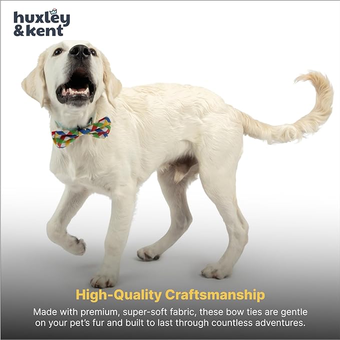 Huxley & Kent Pet Bow Tie for Dogs & Cats - Adjustable Hook & Loop Collar Accessory - Cute & Comfortable for Holidays & Celebrations - Summertime Check, Large