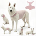 DAJIDALI® Dog & Cat Anxiety Vest & Spay Recovery Suit – Silent Calming Wrap for Surgery, Thunderstorms – Breathable Cone Alternative