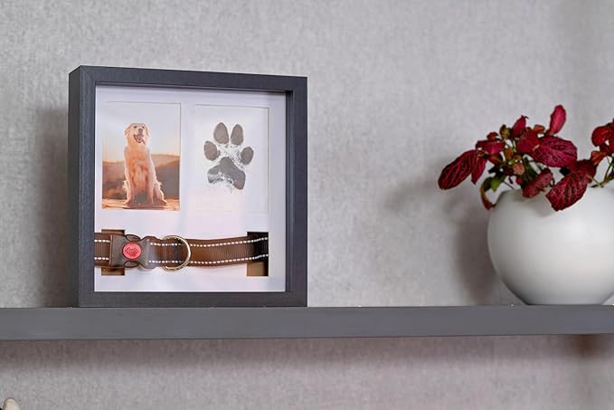 Dog Paw Print Kit for Dogs, Dog Picture Frame with Shatterproof Plexiglass, 4 Customizable Displays, 9”x9”, Pet Memorial Gift for Dogs, Loss of Pet Sympathy Gift, Pet Paw Print Impression Kit (Black)