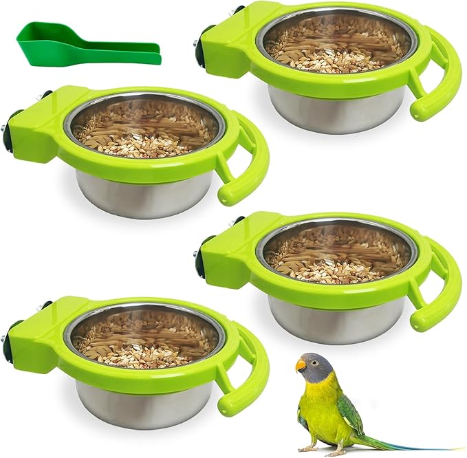BNOSDM Hanging Stainless Steel Bird Bowls 4 PCS Bird Feeding Dish Cups with Perch Stand Birds Food Container Food and Water Bowls with Spoon for Budgie Cockatoo Finch Lovebirds Pigeons (Green)