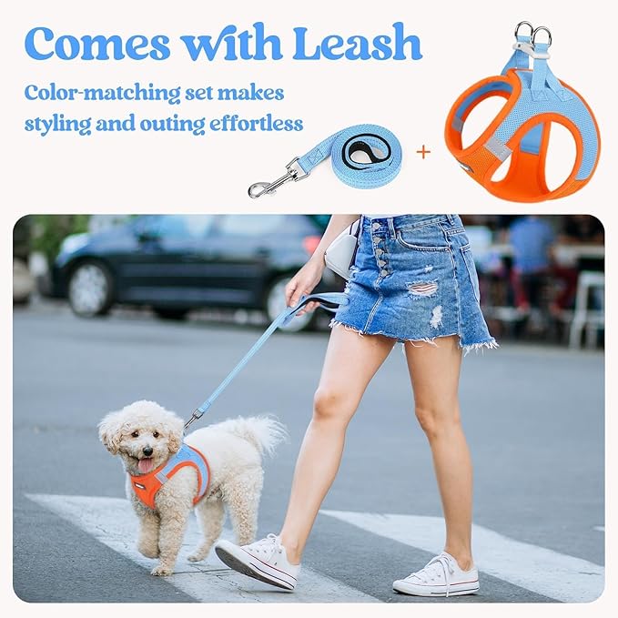 rabbitgoo Dog Harness Small Medium Sized and Leash Set, Step in Soft Light Puppy Vest, Breathable Mesh Pet Harness, Reflective for Safe Easy Walking, Blue & Orange XL