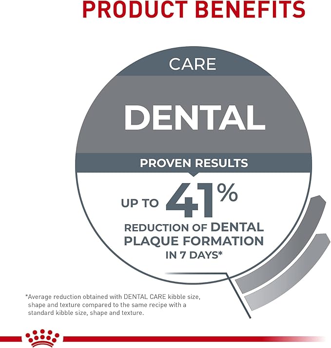 Royal Canin Feline Care Nutrition Dental Care Adult Dry Cat Food, 6 lb Bag