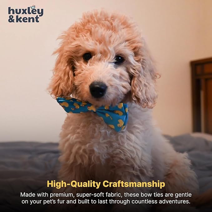 Huxley & Kent Pet Bow Tie for Dogs & Cats - Adjustable Hook & Loop Collar Accessory - Cute & Comfortable for Holidays & Celebrations - Lucky Ducky, Large