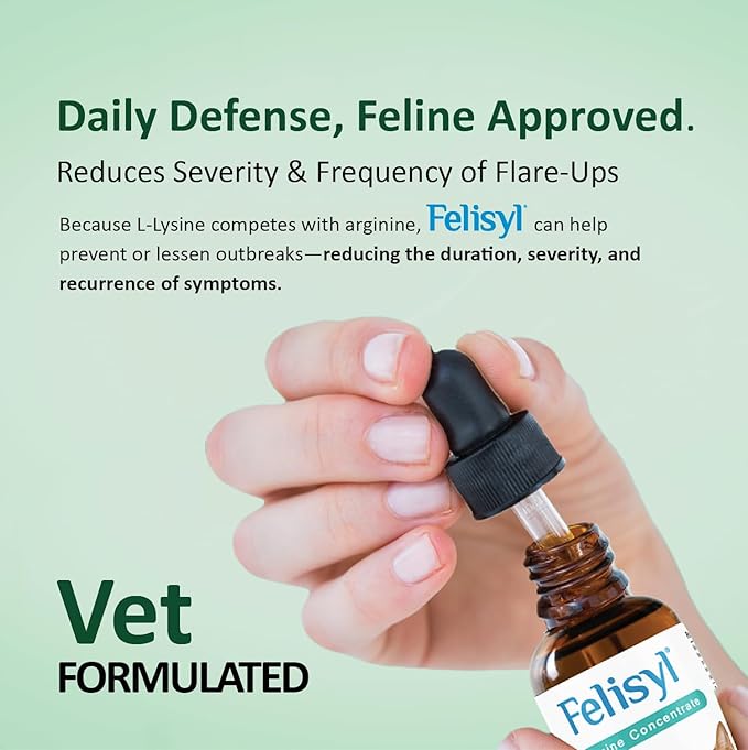 L-Lysine Concentrate for Cats – 2 oz Immune & Respiratory Support Supplement with DMG & Taurine – Helps Relieve Sneezing, Runny Nose, Congestion, Watery Eyes, FHV-1 Symptoms – Made in USA