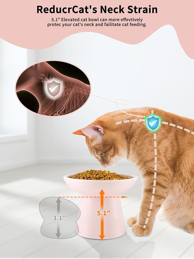 LoeJan Elevated Cat Food and Water Bowls Set, Extra Wide and Raised Ceramic Feeder, Anti-Vomit Whisker-Free Pressure Feeding Bowl for Kittens Adult Cats Small Dogs (Pink, Bowl Set)