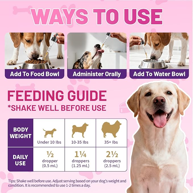 Wagmee Allergy Relief Drops for Dogs, Dog Itchy Skin Relief with Fish Oil, Omega-3, Turmeric & Natural Anti Itch for Dogs Ears & Paw Relief - Dog Seasonal Allergies, Skin & Coat Immune Supplement