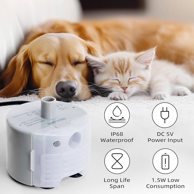 Ultra-Quiet Replacement Pump for Stainless Steel Cat Water Fountains - SMA-800 Motor - Safe and Easy to Clean with Low Voltage DC 5V and USB Cable (Pump) (Bottom Pump)