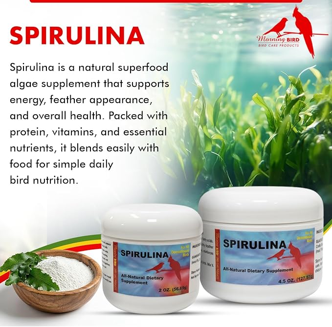 Morning Bird Spirulina 4.5 oz – Organic Superfood Supplement for Birds – Rich in Vitamins, Protein & Amino Acids – Ideal for Parakeets, Cockatiels, Budgies, Finches, Canaries & Parrots