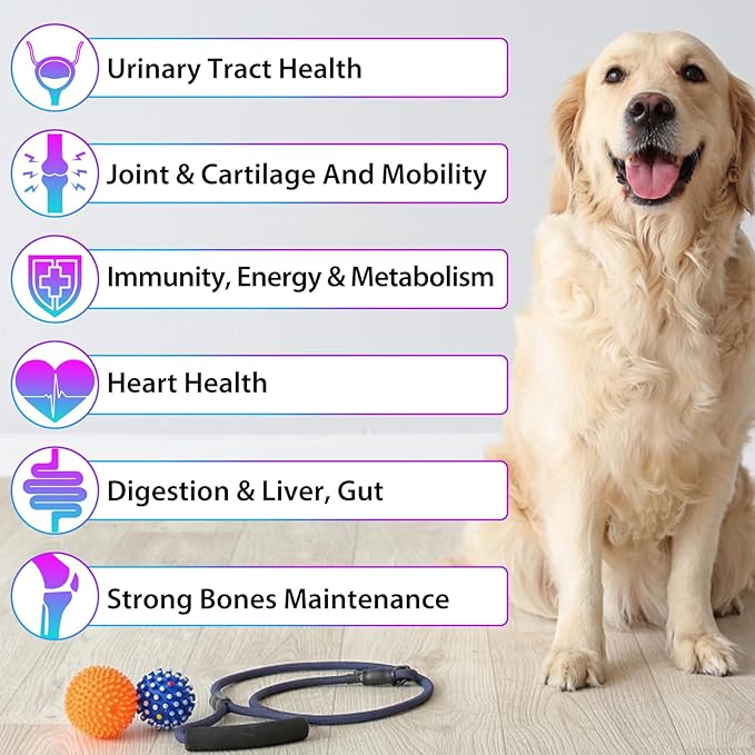 15-in-1 Dog Multivitamin Drops for Dogs | Liquid Multivitamin with Glucosamine, MSM & Omega for Joint, Heart, Immune & Skin Health | Easy Liquid Drops for Picky Eaters