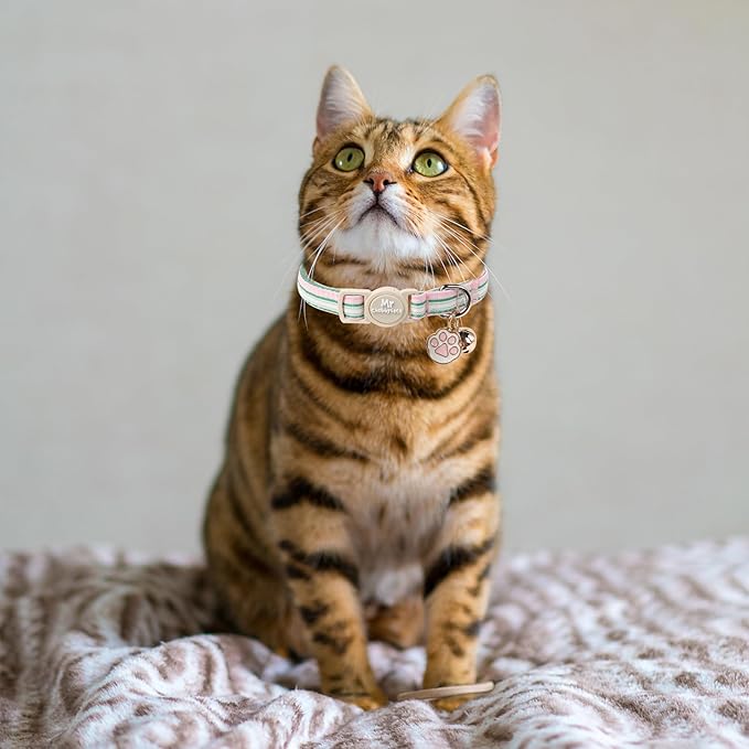 Cat Collar, 2 Pack Pink&Blue Stripe Kitty Collar, Cute Breakaway Kitten Collar with Bell&Pendent, Soft Cotton Collar with Safety Buckle for Female Male Cats