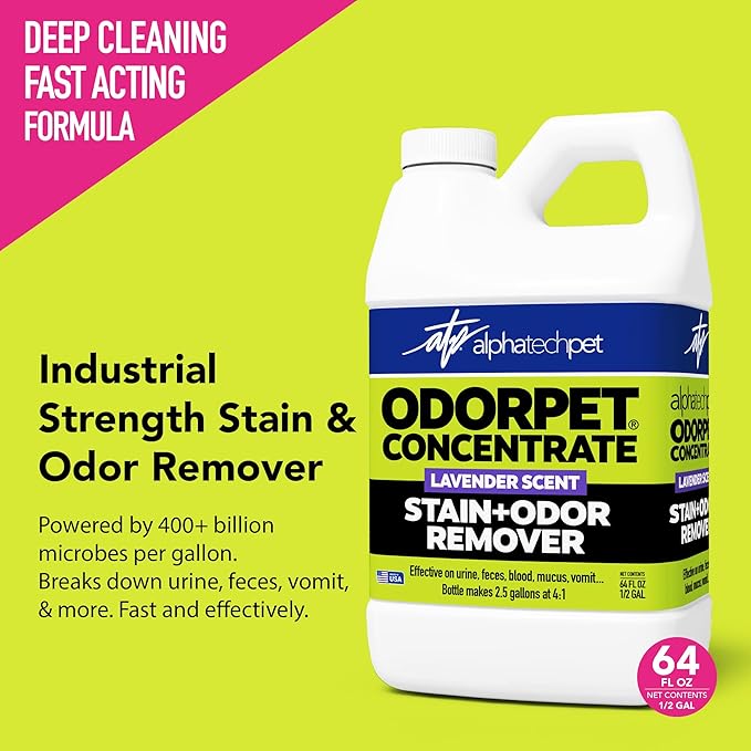 OdorPet Pet Stain Remover and Odor Eliminator - 64 Oz (Makes 2.55 Gallons of Working Solution) Non Staining, Professional Strength, Lavender Scent by Alpha Tech Pet