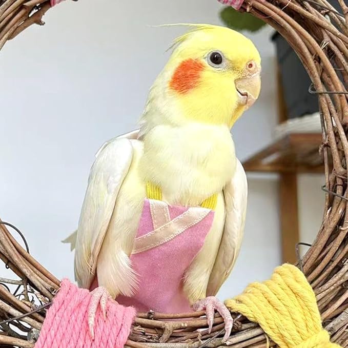 Bird Flight Suits Diapers, Parrot Flight Suits Diapers for Quaker Parakeets Cockatiels Conures Macaw African Grey, Bird Diaper, Parrot Clothes (Purple A,2M)