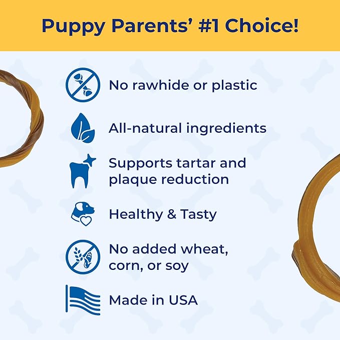 N-Bone Puppy Teething Rings Taste of Texas Pulled Pork Flavor 3 Count