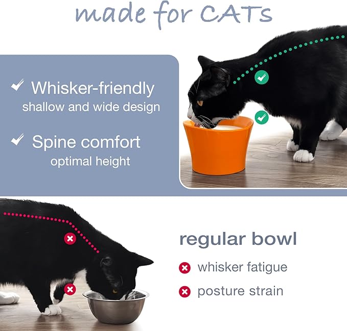 Elevated Cat Bowls for Water – Raised Bowl for Indoor Cats – Whisker Fatigue Shallow Cat Dishes – Vet-Recommended Height & Modern Pedestal Design – Non-Slip & Dishwasher-Safe – 8 oz, Original