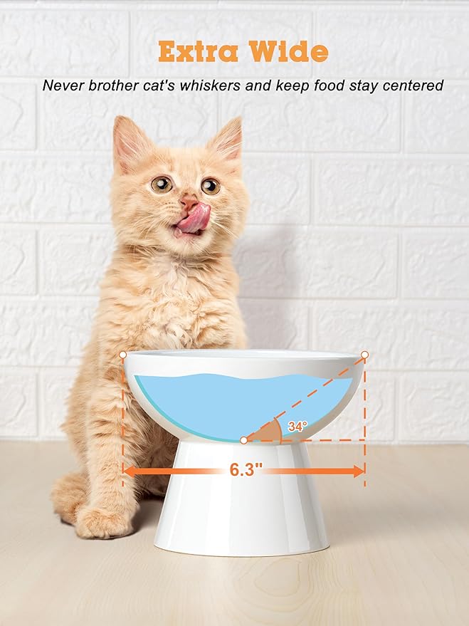 LoeJan Elevated Cat Food and Water Bowls Set, Extra Wide and Raised Ceramic Feeder, Anti-Vomit Whisker-Free Pressure Feeding Bowl for Kittens Adult Small Dogs