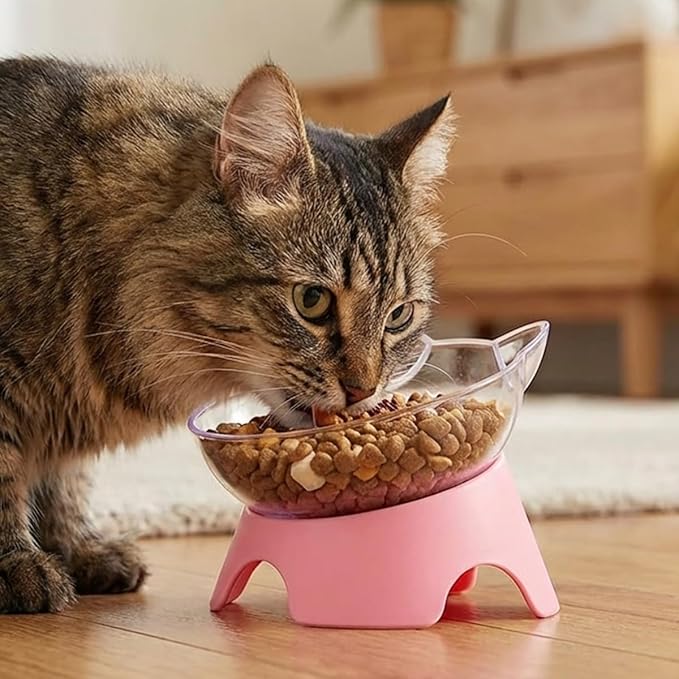 MILIFUN Raised Cat Food Bowls with Stand, Cat Dishes for Food or Water, Cats Tilted Bowl, Pet Dish with Stand (Pink Double Bowl)