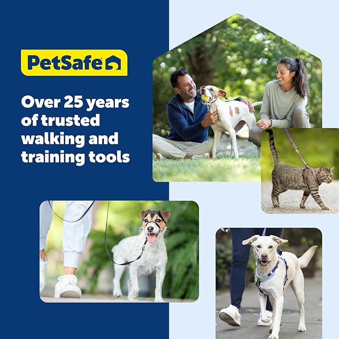 PetSafe Gentle Leader Headcollar No-Pull Dog Collar - Helps Improve Walks - Durable Nylon Construction - Padded Nose Loop - Adjustable Fit - Comfort Walking Halter - Small, Fawn